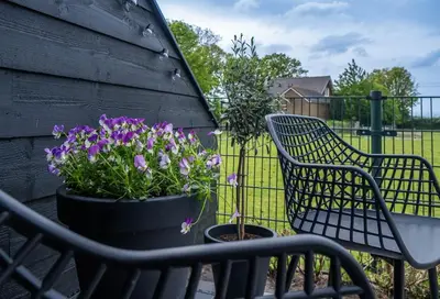 two chairs and purple flowers on a patio at Veldt's huisje in Limmen
