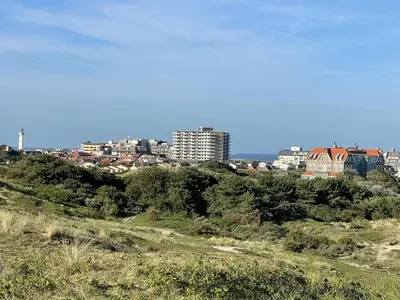 a view of a city from a hill with trees at Sterflat 207 in Egmond aan Zee