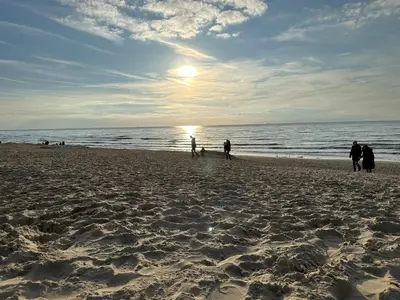 a group of people walking their dogs on the beach at Sterflat 101 in Egmond aan Zee