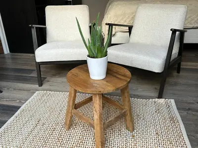 a coffee table with a potted plant on it next to two chairs at Hello Noordwijk - Studio Pietheinplein 1 in Noordwijk aan Zee