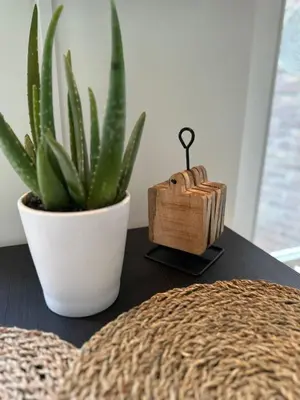 a table with a plant and a box on it at Hello Noordwijk - Studio Pietheinplein 1 in Noordwijk aan Zee