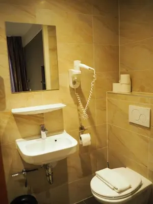 a bathroom with a sink and a toilet and a mirror at Blossoms City Hotel in Amsterdam