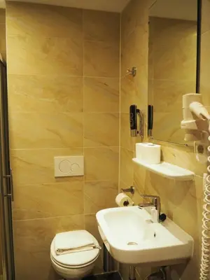 a bathroom with a sink and a toilet and a mirror at Blossoms City Hotel in Amsterdam
