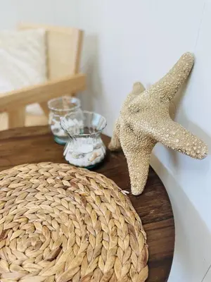 a table with a starfish on top of a table at Villa de Duinfazant in Bergen aan Zee