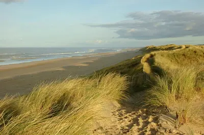 a sand hill with a beach and the ocean at Hotel De Dennen in Egmond aan Zee
