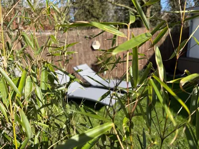 a laptop computer sitting in the middle of a bush at B&B Wellness Soest in Soest