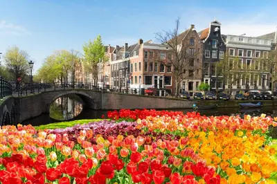 a field of flowers in front of a bridge at Luxury House With 2 Private Independent Studios 120 m2 Near LEIDSEPLEIN CITY CENTRE AMSTERDAM - Paid Parking Possibilities Nearby in Amsterdam