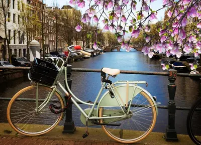 a bike parked next to a canal with flowers at Luxury House With 2 Private Independent Studios 120 m2 Near LEIDSEPLEIN CITY CENTRE AMSTERDAM - Paid Parking Possibilities Nearby in Amsterdam