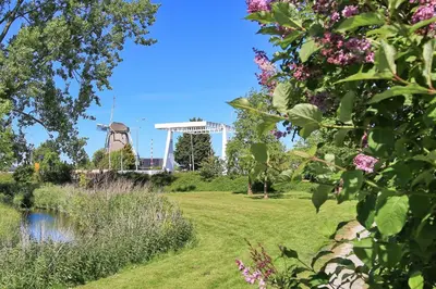 a park with a pond and a windmill in the background at Boutique Hotel Hans - Amsterdam Schiphol Airport in Badhoevedorp