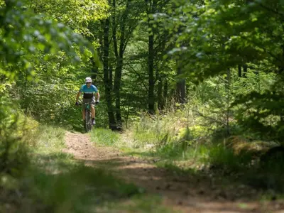a person riding a bike on a trail in the woods at Amaryllis in Soesterberg