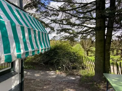 a green and white umbrella on the side of a building at House on estate near Amsterdam and Keukenhof in Lisserbroek