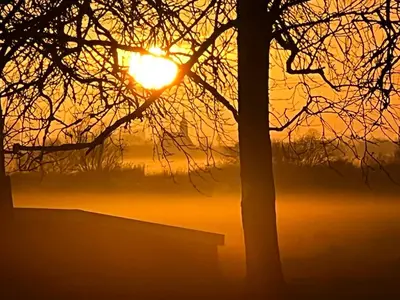 a sunset with a tree in the foreground at Over Lake in Monnickendam