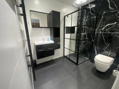 a bathroom with a toilet and a shower and a sink at Snijders cottage in Noordwijkerhout
