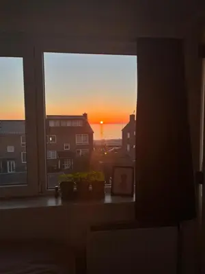 a view of the sunset from a window with plants at Hammond Studio Apartments in Zandvoort