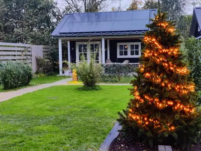 a christmas tree in the yard of a house at Park De Driesprong in Nieuwveen