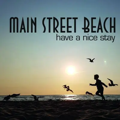 a man running on the beach with birds flying at Have a nice stay! - Main Street beachapartment, beach 150 meters in Noordwijk aan Zee
