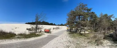 a dirt road with snow and trees on the side at Duin Cottage Bergen in Bergen