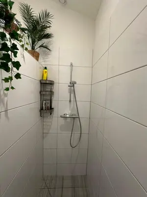 a bathroom with a shower with a plant in it at Rekerlanden 104 in Schoorldam