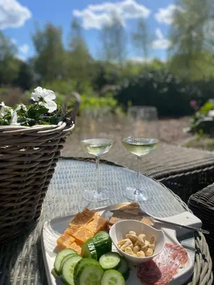 a plate of food and two glasses of wine at Ecolodge Almere in Almere