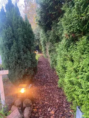 a dirt road with a light on it next to trees at Ecolodge Almere in Almere