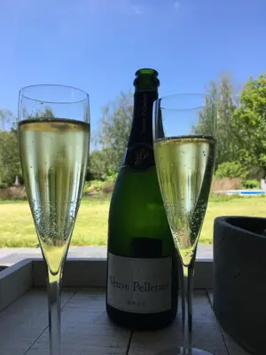 two glasses of champagne next to a bottle of wine at Ecolodge Almere in Almere