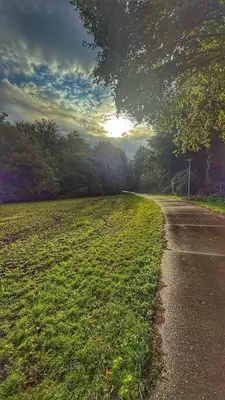 a road in the middle of a field of grass at Ecolodge Almere in Almere