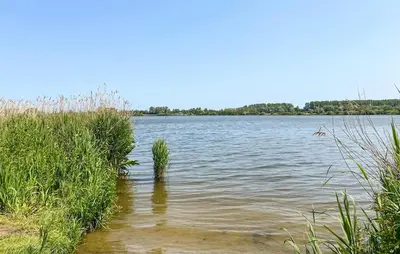 a body of water with plants in the water at 2 Bedroom Cozy Home In Noordwijkerhout in Noordwijkerhout