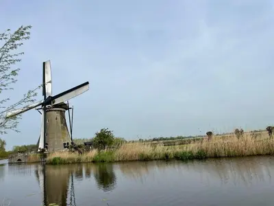 a windmill in a field next to a body of water at Blossom Barn Lodges in Oudewater