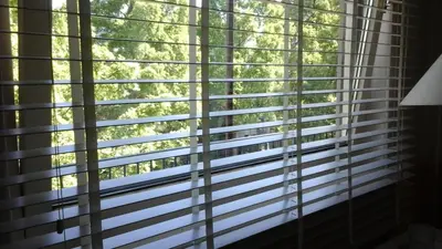 a window with blinds on it with a tree at Studio 99 in Amsterdam