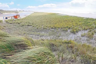 a beach with tall grass and a boat on the sand at Appartement Zandkorrel in Schoorl