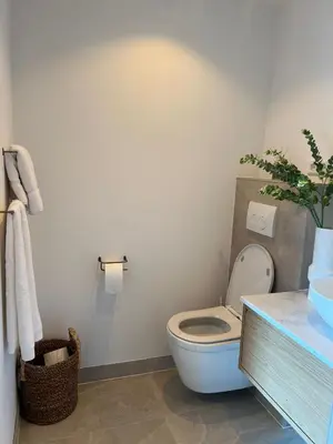 a bathroom with a toilet and a plant on the counter at Huisje Marie in Zandvoort