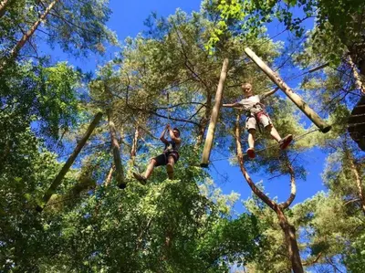 two people are climbing on a tree at Villa Riverside met hottub, eigen aanlegsteiger, zwemtrap, trampoline en kano's in Zeewolde