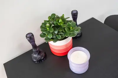 a table with a candle and a potted plant on it at Milis Beach Cottage in Zandvoort