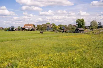 a horse grazing in a field of green grass at Aan de Amstel in De Kwakel
