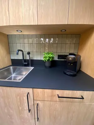 a kitchen counter with a sink and a pot of plants at Het Oude Raadhuis in Noordwijkerhout