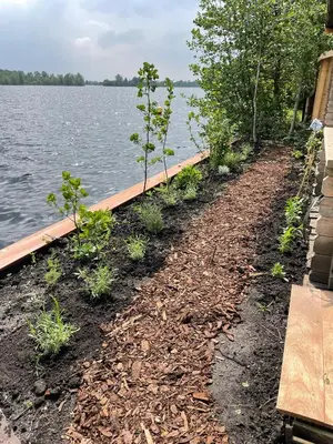 a row of plants next to a body of water at Luxury Experience in Off The Grid Lodge at an Amazing Lake Vinkeveense Plassen in Vinkeveen