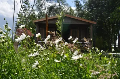 a small shack in the middle of a field of flowers at Luxury Experience in Off The Grid Lodge at an Amazing Lake Vinkeveense Plassen in Vinkeveen