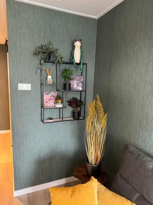 a room with a green wall with shelves with plants at De Gouwe Stek in Landsmeer