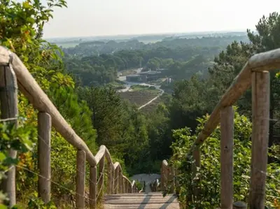 a wooden stairway with a view of a valley at Beach house met parkeerplaats in het centrum in Egmond aan Zee