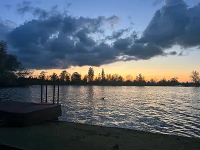 a lake with a dock and a bird in the water at New- The Cabana- With Sauna and Hot Tub, on a lake near Amsterdam in Vinkeveen