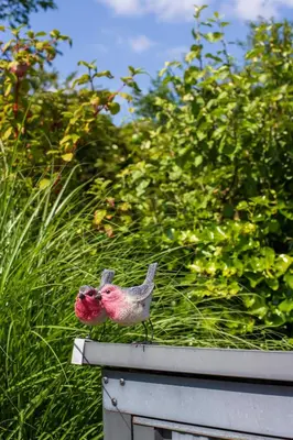 a bird sitting on the edge of a fence at Jamies Cottage Warmenhuizen nu met airco in Warmenhuizen