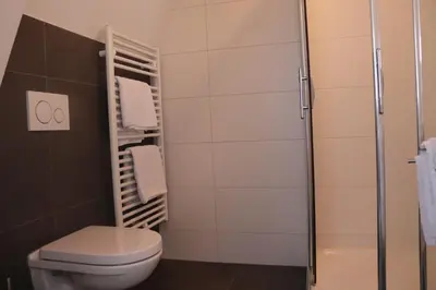 a bathroom with a toilet and a shower at Het Wapen van Noordwijkerhout in Noordwijkerhout