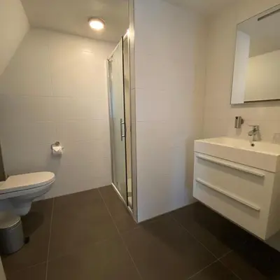 a bathroom with a toilet and a sink and a shower at Het Wapen van Noordwijkerhout in Noordwijkerhout