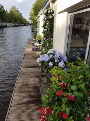 a row of flowers on a wooden walkway next to a canal at Pantheos Top Houseboat in Amsterdam