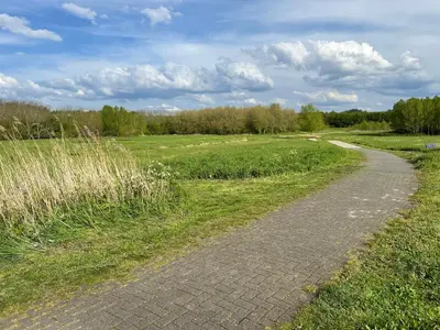a path in the middle of a field at A tiny house - Amsterdam region in Lelystad