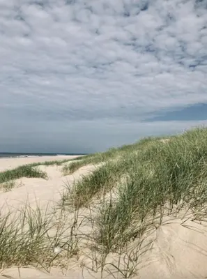 a beach with tall grass and sand dunes at Deborah's Hiding Place in Alkmaar