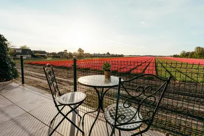 a table and chairs on a balcony with tulips at Bos, duin en strand huisje in Noordwijk