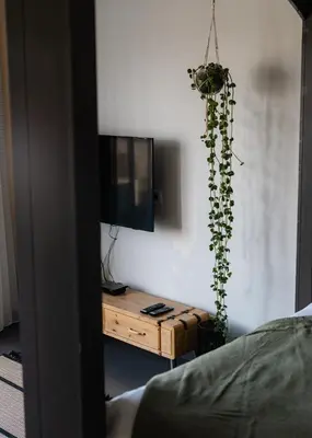 a room with a tv and a table with a plant at B&B Hartenlust kamer de Bedstee in Bodegraven