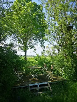 two chairs and a picnic table in a field at Sweet Tiny House in Westbeemster