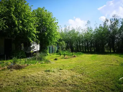 a yard with grass and trees in the background at Sweet Tiny House in Westbeemster